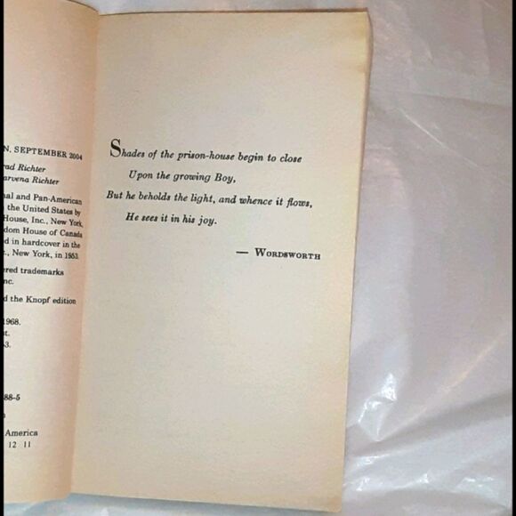 The Light in the Forest Young Adult Fiction Paperback Book - Picture 10 of 16